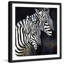 Bergerac - Single Picture Frame Painting-19914586