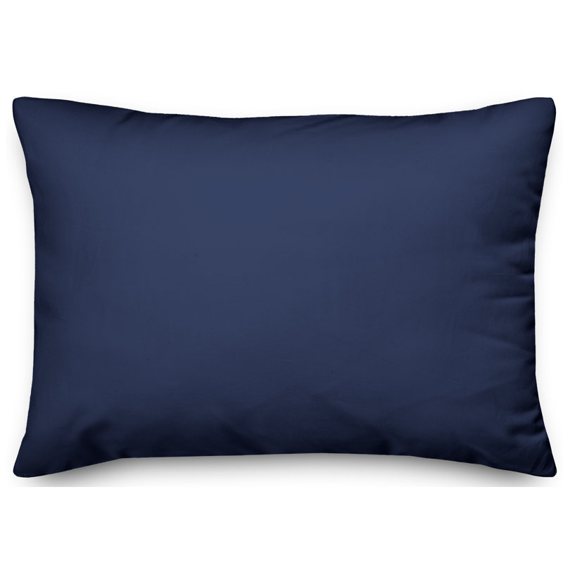 Outdoor Throw Pillow, No Fill
