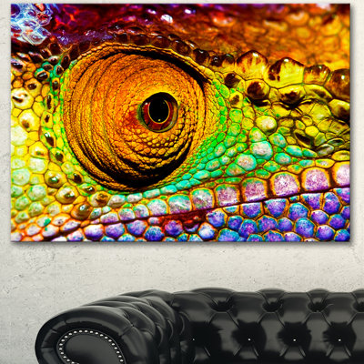 " Multicolor Scaly Skin Of Lizard "