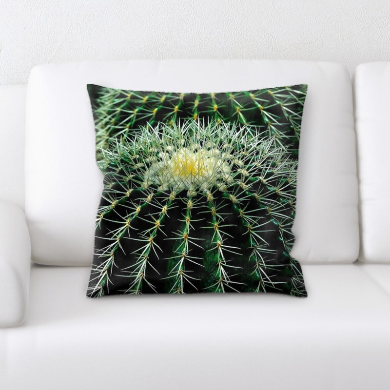 Coussin cactus