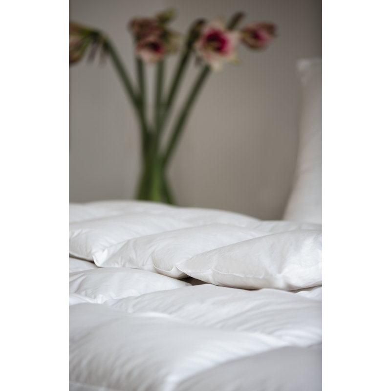 Ambiente Medium Down Alternative Comforter, 155 x 220 cm