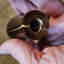 Customer photo 2 of 2