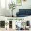 150cm Faux Olive Plant in Pot