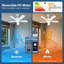Ventilateur de plafond de 42 pouces avec lumière et télécommande, ventilateur de plafond à profil bas, DEL silencieuse à intensité variable, moteur à courant continu réversible, contrôle de l'application, minuterie, pour une utilisation à l'int?-517431698-517431696