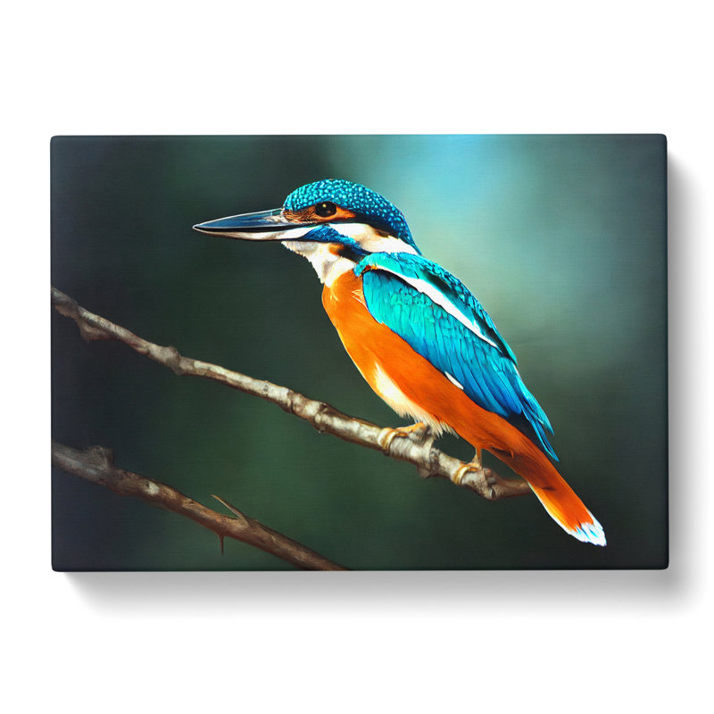 Unbeatable Kingfisher Bird - Wrapped Canvas, 35cm H x 50cm W x 3cm D