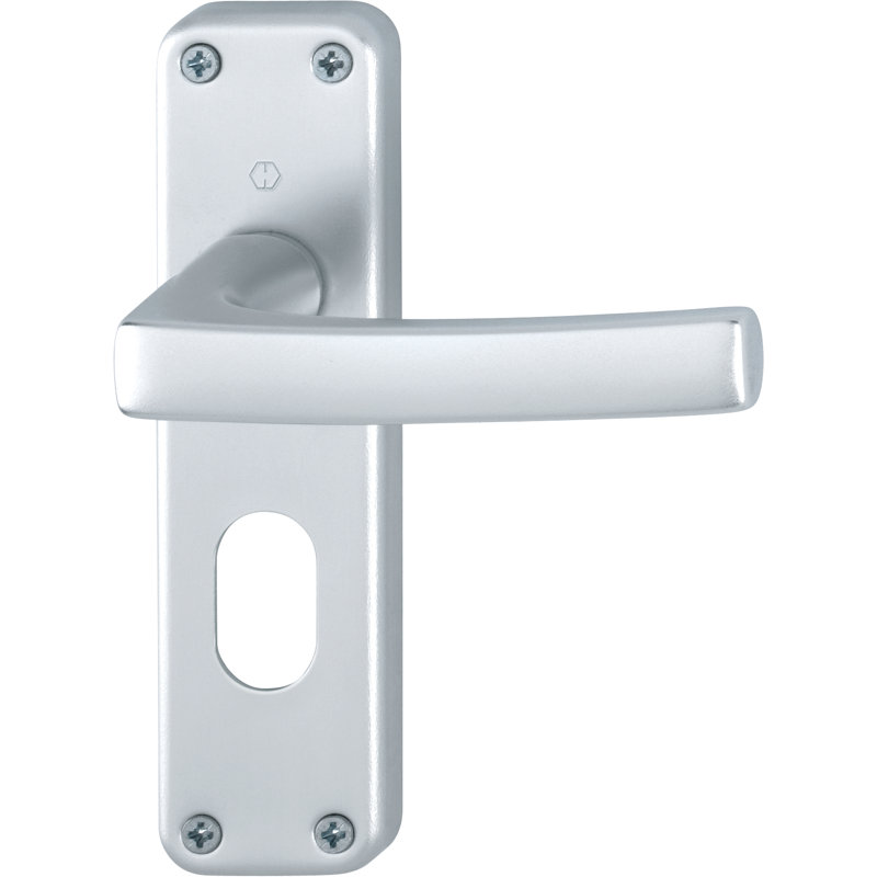 DubayyInterior Mortise Door Handle