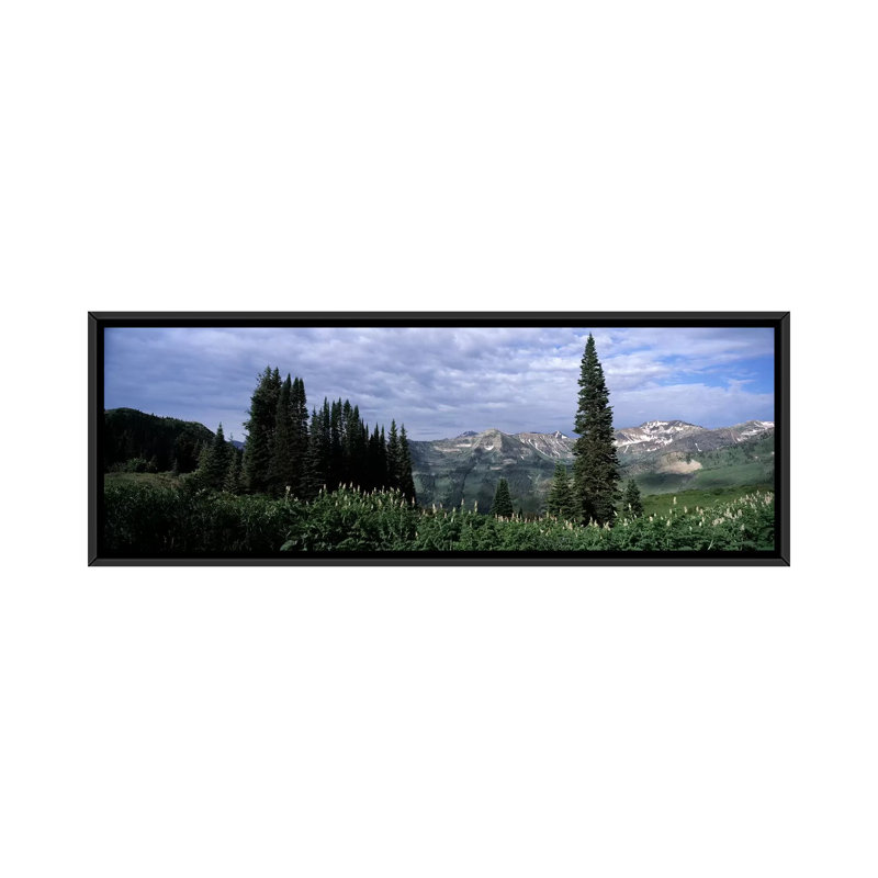 « forest, washington gulch trail, butte crest, gunnison county, colorado », reproduction de photo sur toile