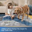 Rectangle 160 cm x 160 cm Indoor / Outdoor Washable Area Rug
