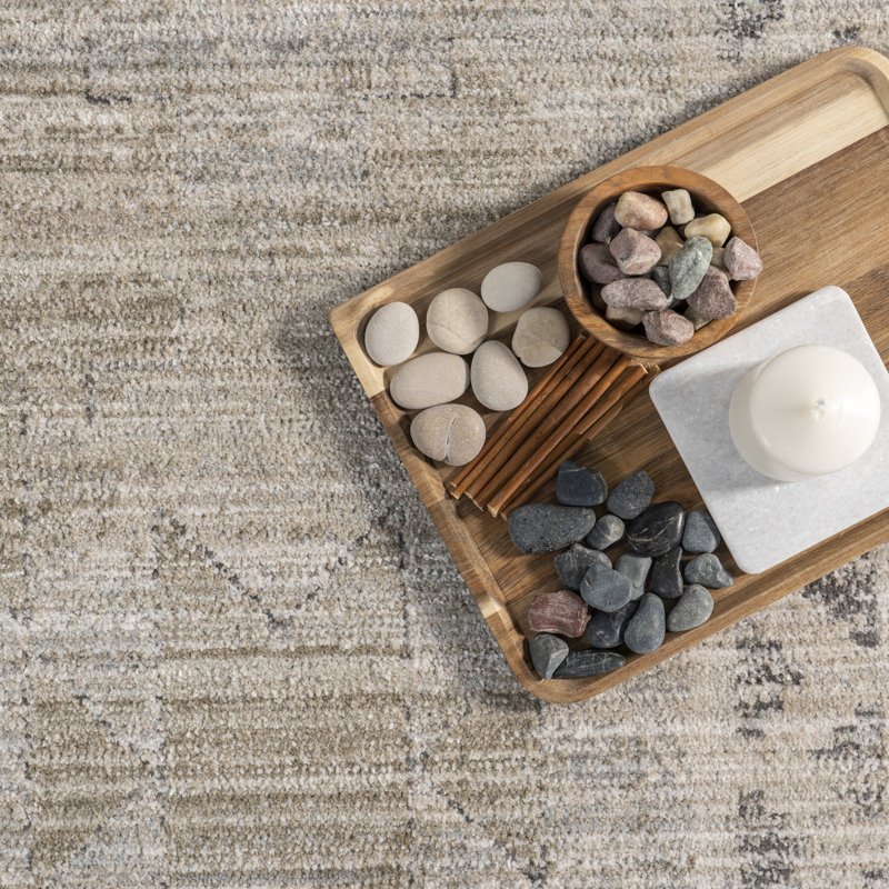 Aine Bordered Machine Washable Indoor/Outdoor Area Rug, Rectangle 10' x 13'