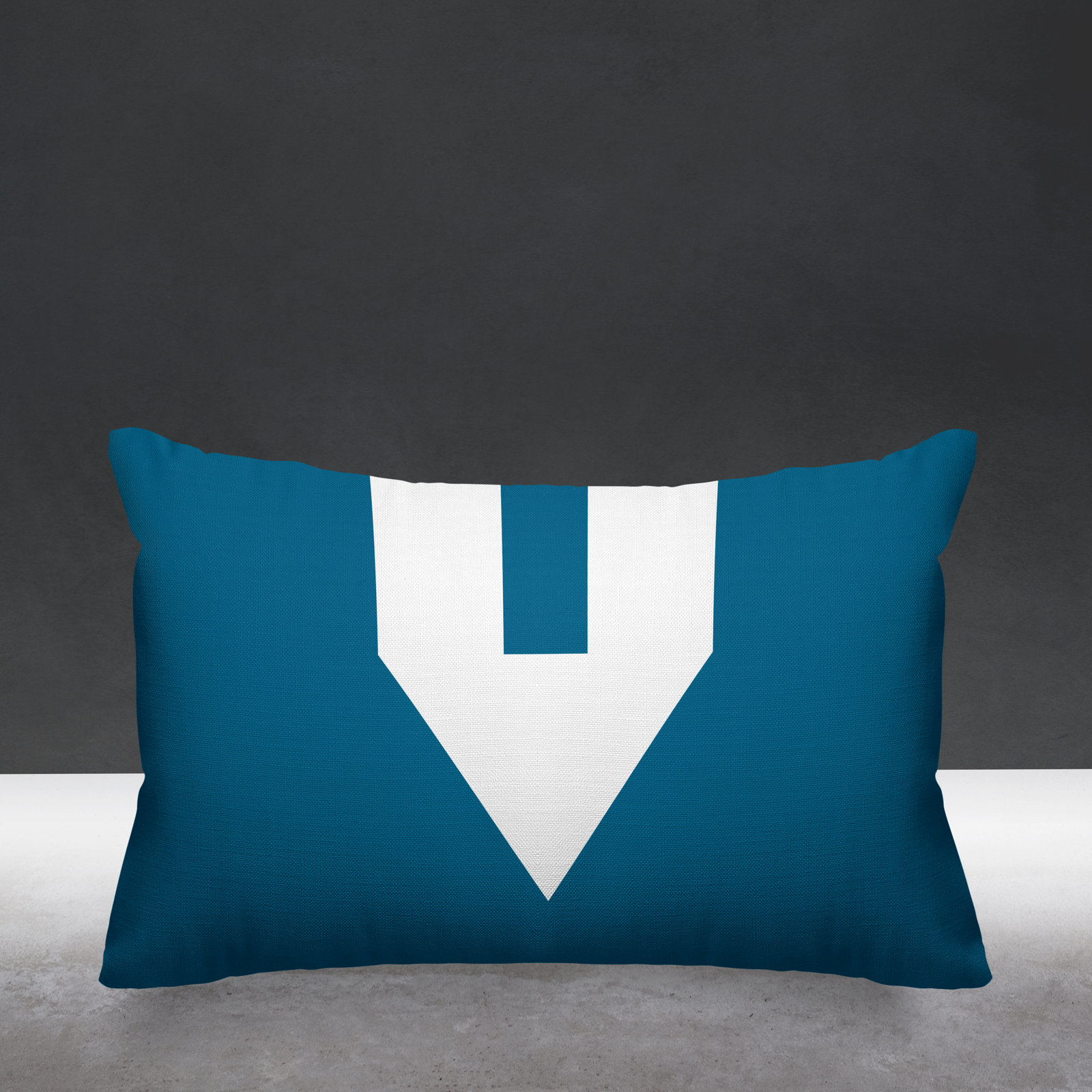 Luella Geometric Indoor/Outdoor Lumbar Throw Pillow, Turquoise