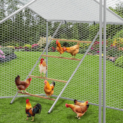 Chicken Perch for Coop, Chicken Roosting Bars Perfect for Backyard Poultry, Farm Roost Toys for Hen Coop Accessories, Easy to Assemble & Clean, 55 in L x 39 in W