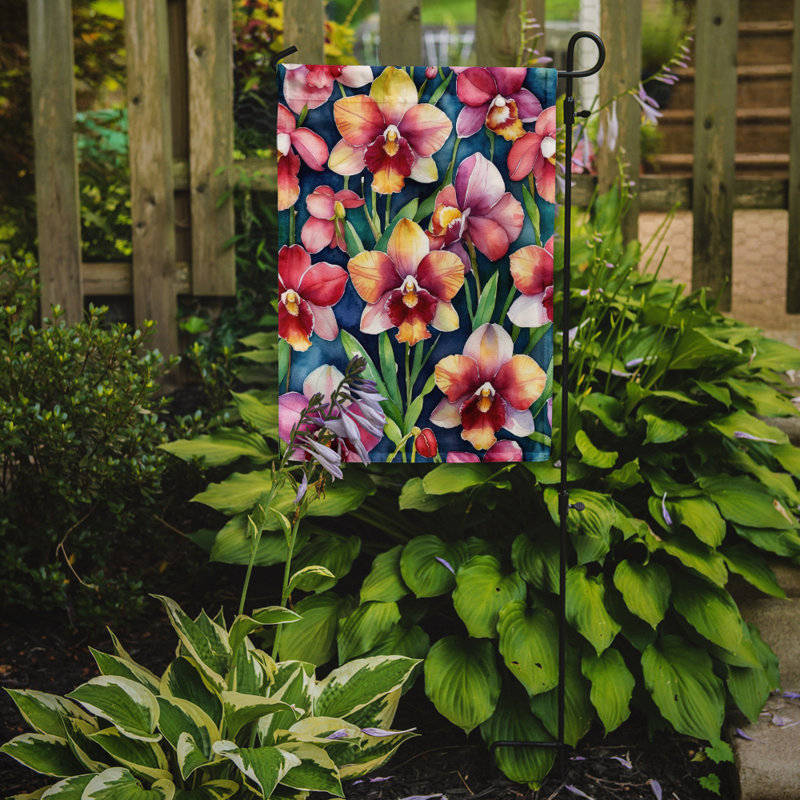 Orchidées paphiopedilum, drapeau du jardin, Orchidées Miltoniopsis