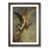 Walnut Framed selected
