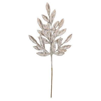 24 po (s) choix de feuilles de laurier doré