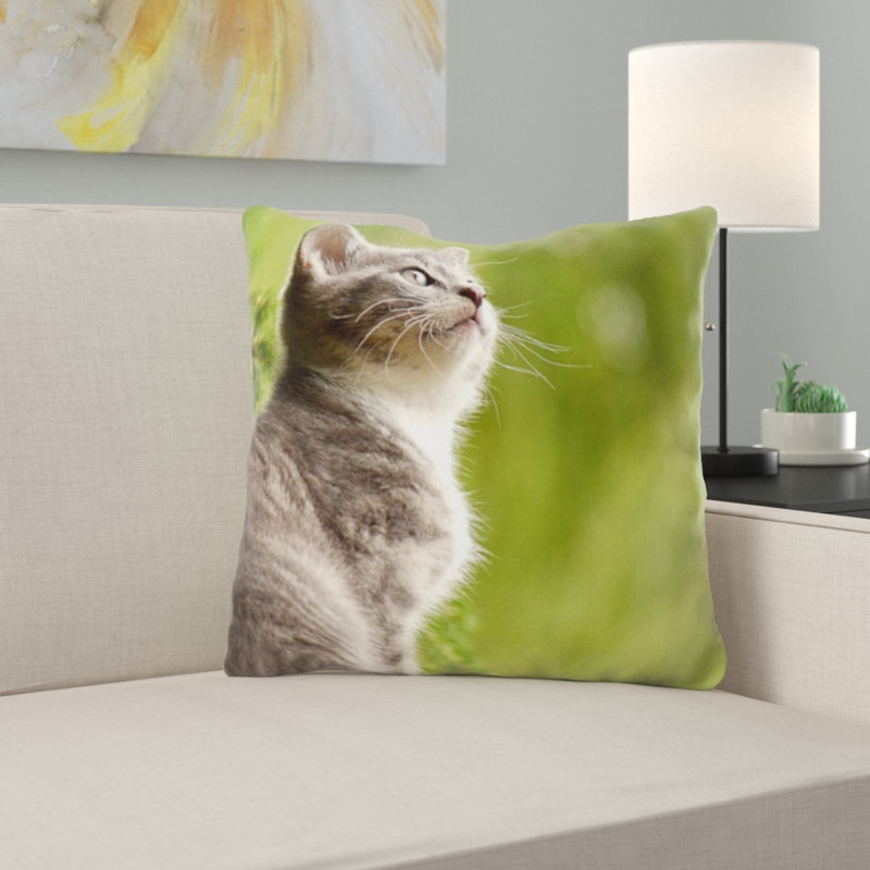 Coussin pour chat