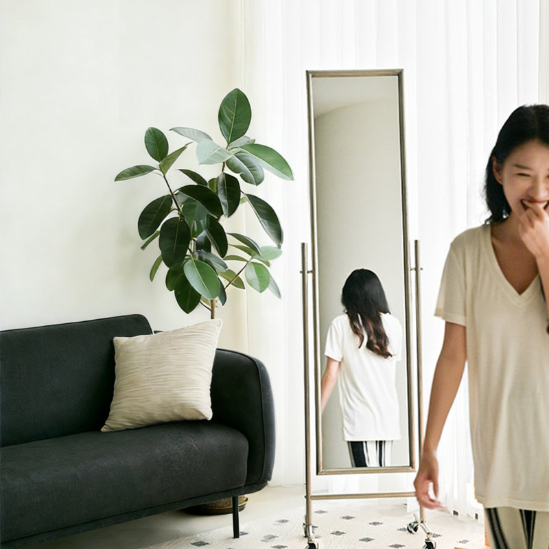 Miroirs pleine longueur rectangulaires en acier inoxydable