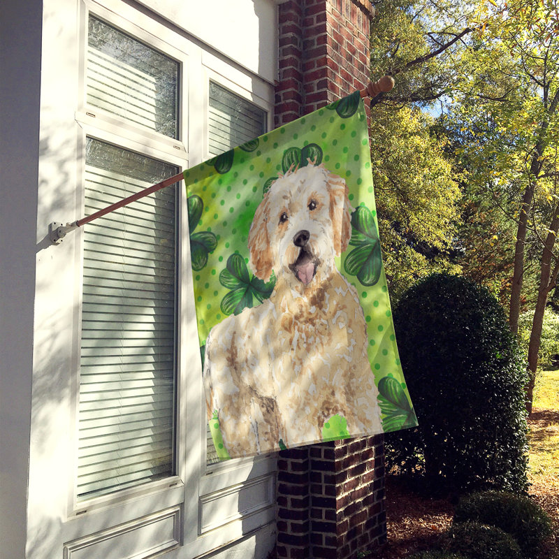 40 x 28 po en polyester à 2 côtés de la st patrick drapeau maison, Goldendoodle