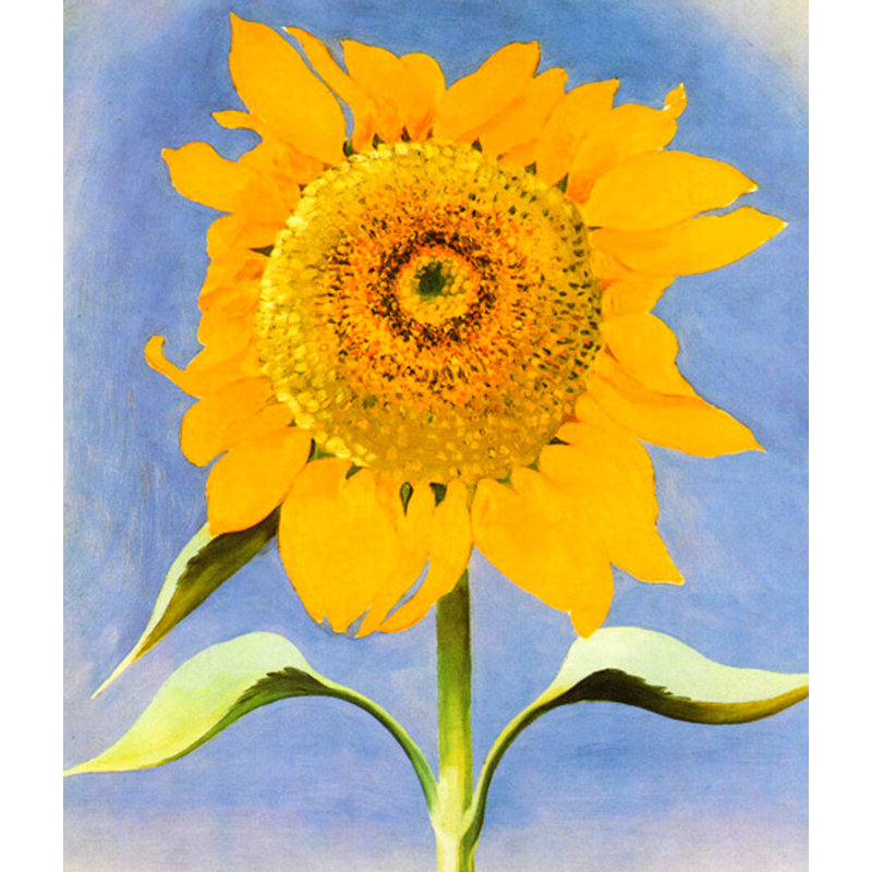 Tournesol, Nouveau-Mexique, 1935 MCG-PF102, H 42 po x l 36 po