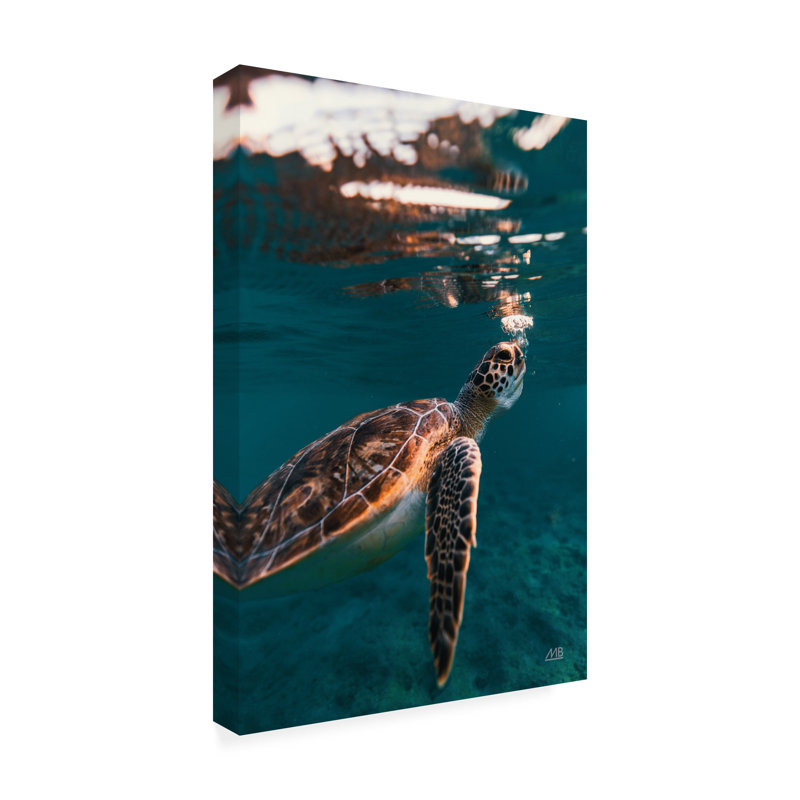 Bolog Max Blakesberg Studios Blowing Bubbles Canvas Wall Art, 47" H x 30" W