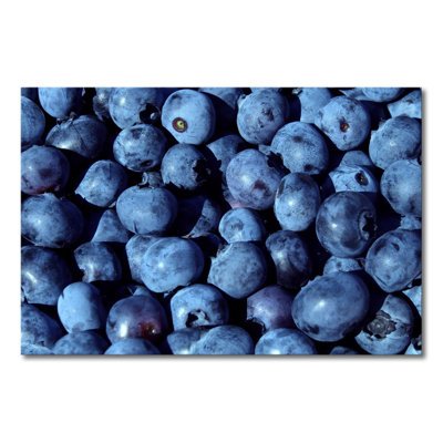 1 Piece Wrapped Canvas Wall Art