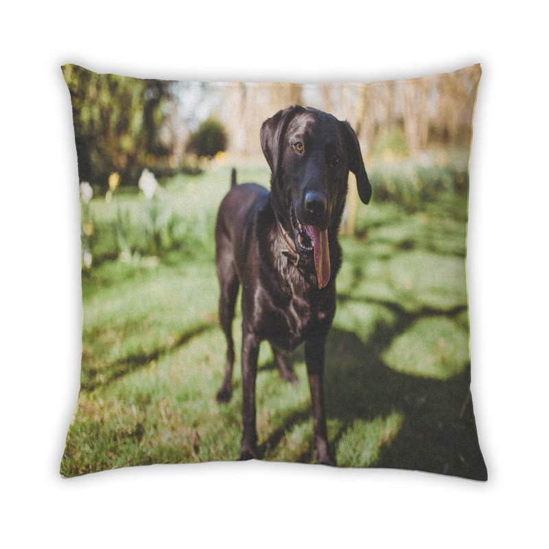 Coussin Dogs Dogs 51, Synthétique