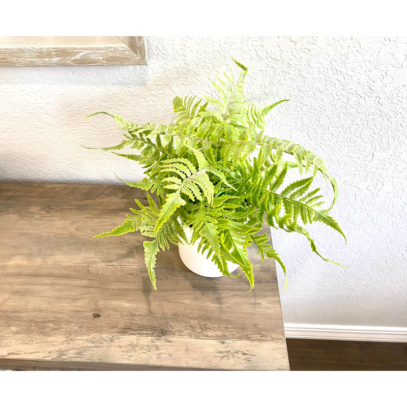 Faux Foliage and Fern Plant in Ceramic Planter