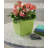  Aria Square Self Watering Planter - Glossy ( 2 Pack)-1073553645-1043354510