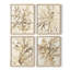 Parchemin corail I, ensemble de 4 reproductions encadrées-1185207206-1185207208