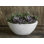 Geo Planter