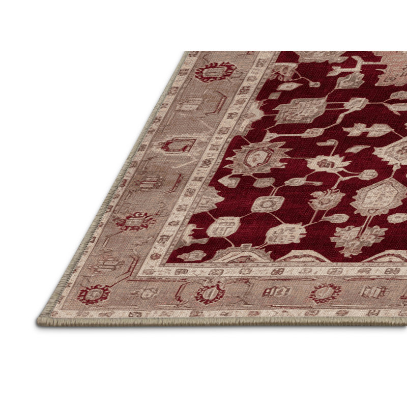 Machine Washable Overdyed Brown Area Rug