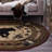 Alers Indoor Rug-43363447