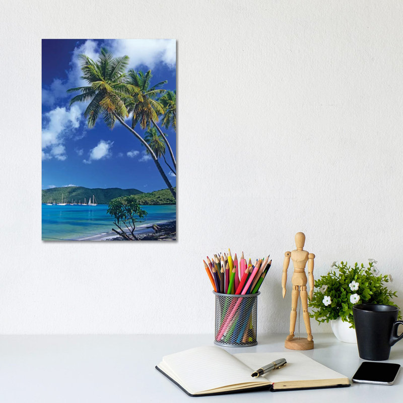 Palm Trees at Maho Bay, Virgin Islands 1 Piece Wall Art on Canvas, 20.32 cm H x 30.48 cm W, Wrapped Canvas