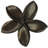 Plumeria medium knob-39948783-104672779-126755984