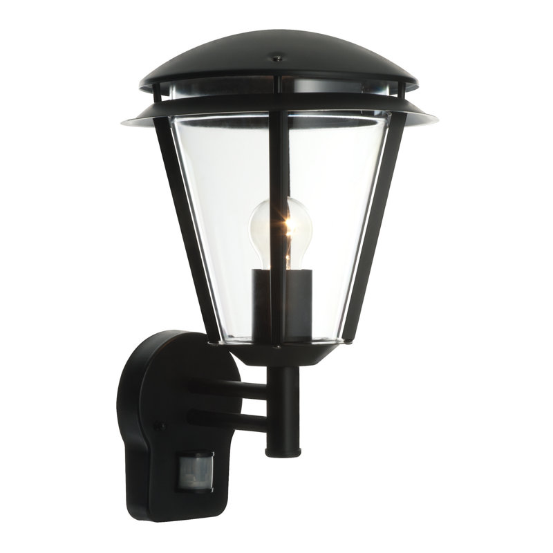 Nellie 38cm H Outdoor Wall Lantern, Matte Black