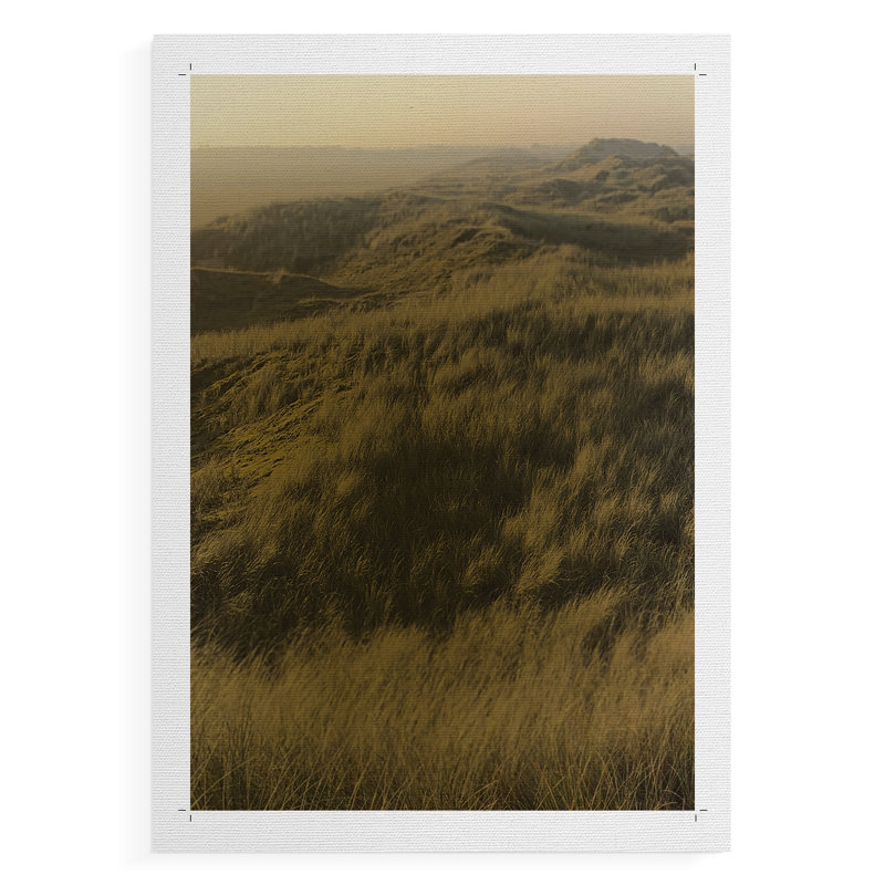 Golden Fog I - Impression sur toile seulement - NON CADRE, H 12 po x l 8 po