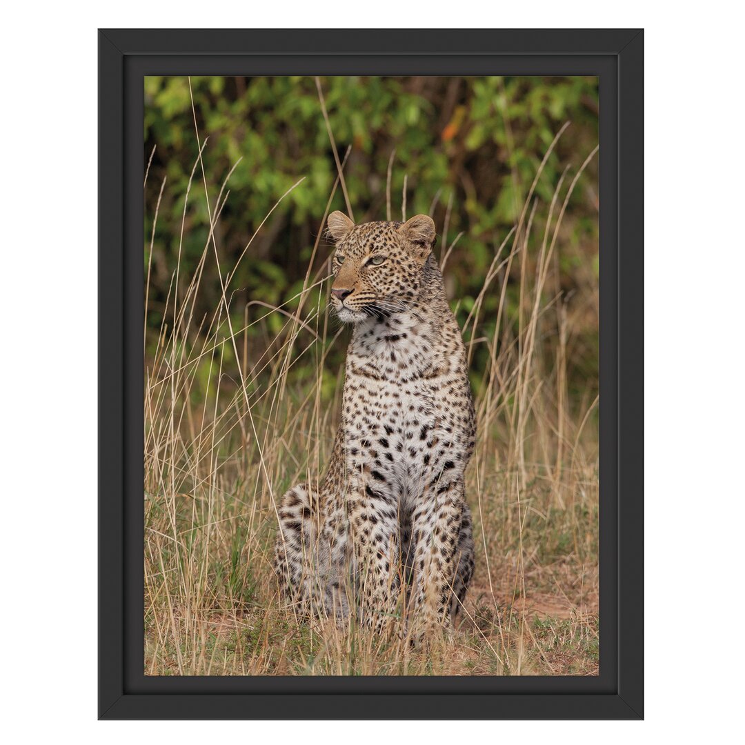 Gerahmtes Wandbild anmutiger Leopardhohen Gras