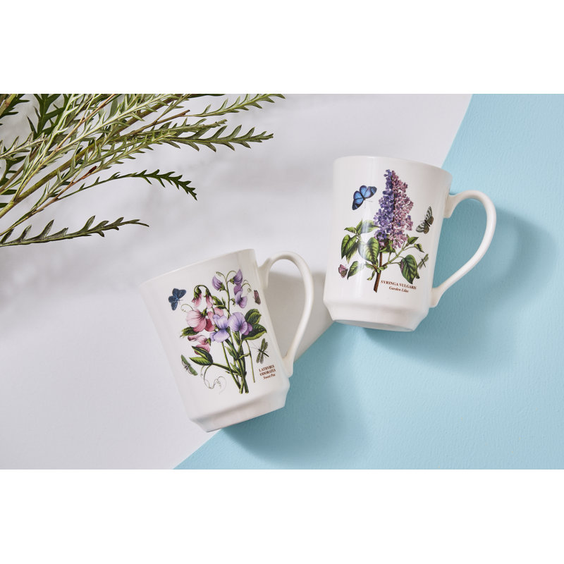 Portmeirion Botanic Garden Flared Tankard Mug 14Oz