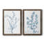 "Antique Botanical In Blue VII", ensemble de 2 peintures sur toile encadrées-1089950150-1089950149