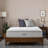 Lucid 3" Bamboo Charcoal and Gel Memory Foam Mattress Topper with cover - Twin XL-97749680-117393675
