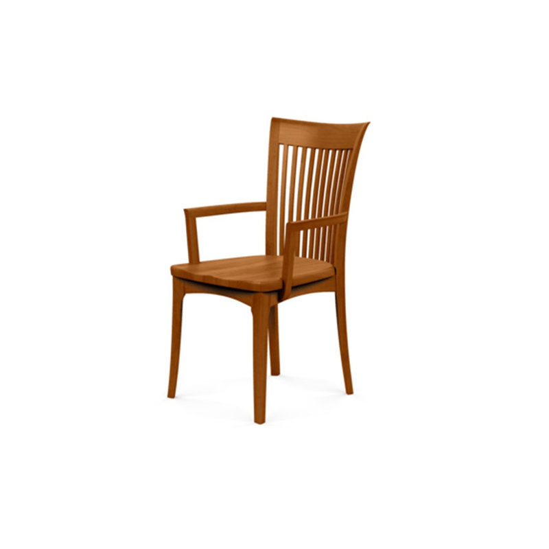 Sarah 19.25'' H Upholstered Armchair, Autumn Cherry, None