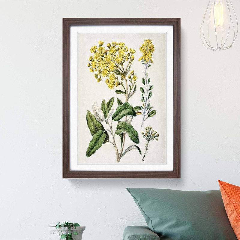Daisy Brachyglottis Flowers by Sarah Featon - Picture Frame Painting Print, Walnut Framed, 65cm H x 48cm W x 2cm D