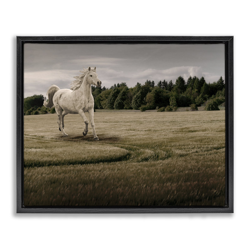 Cadre flottant au galop à cheval, design par Marcus Prime, Cadre flottant noir de jais, H 17 po x l 21 po