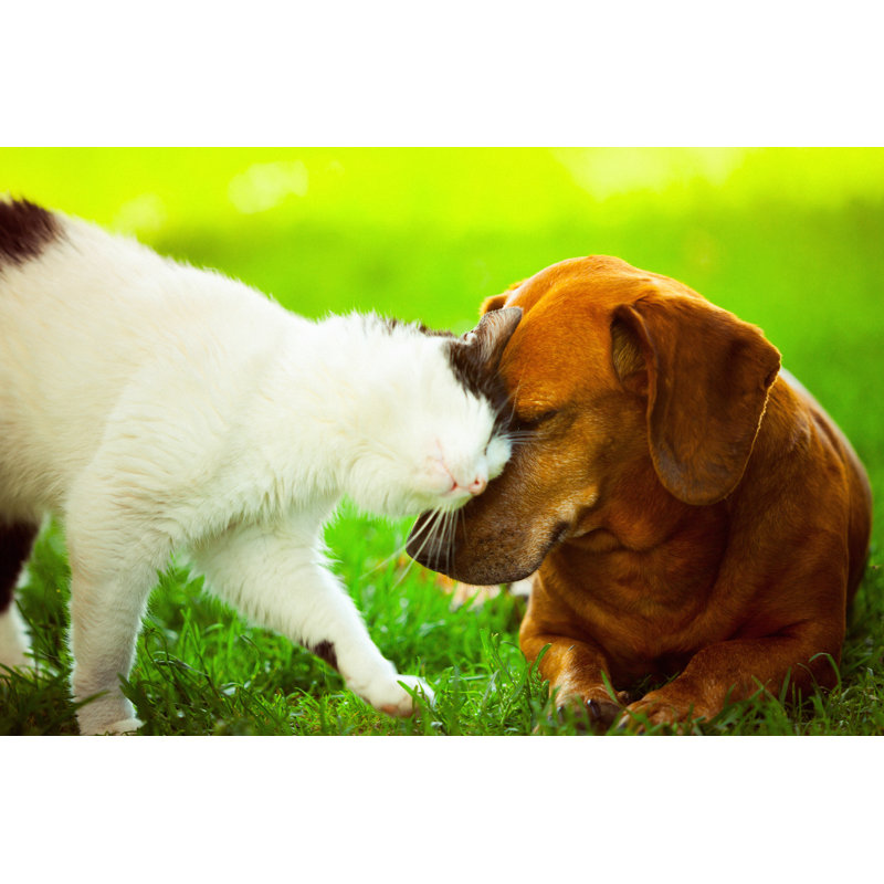 Best Friends par Druvo, H 12 po x l 18 po