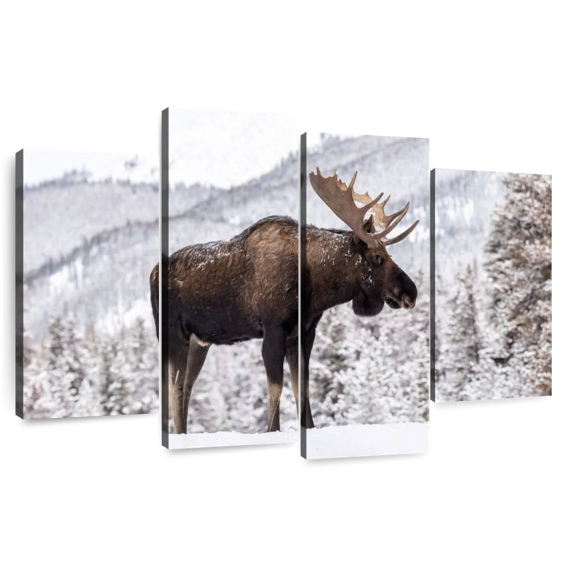 Snowy Moose, 18" H x 30" W