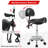 Modern Saddle Stool With Back Support, Rolling Stools With Foot Rest, Ergonomic Adjustable Stool With Wheels, Backrest Adjustable Height & Angle For Salon Spa Tattoo Massage Office Swivel Stool Chair.
