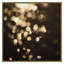 Water Abstract Print by Acer Images-165623165-165623136