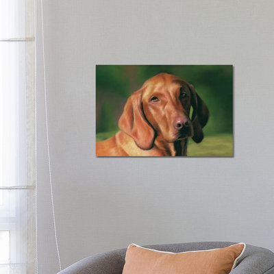 Vizsla by Richard Macwee - Wrapped Canvas Gallery-Wrapped Canvas Giclée