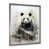 Silver Picture Framed