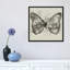 «Butterfly Effect», impression sur toile-18690197-74270806-74270807