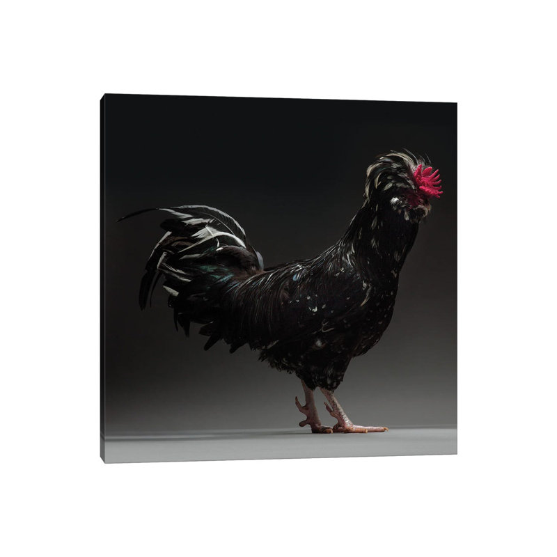Houdan - Wrapped Canvas Print, 45.72 cm H x 45.72 cm W x 1.91 cm D